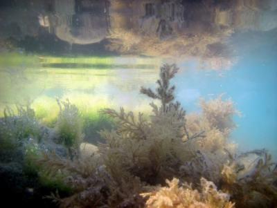 Прикрепленное изображение: DgDGO3SweHY.jpg